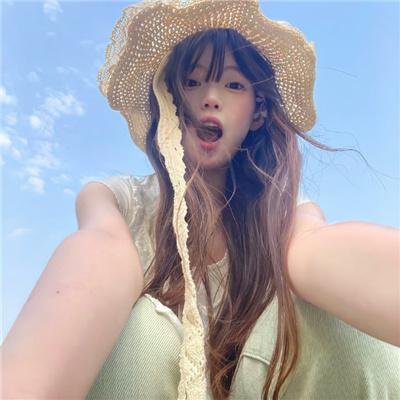 完美的独裁国家
