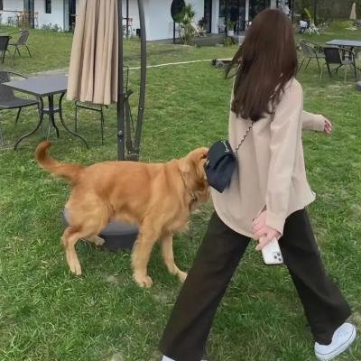 进击的柔道家